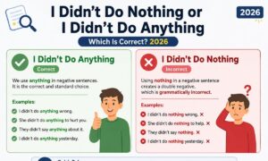 I Didn’t Do Nothing or I Didn’t Do Anything Which Is Correct? 2026