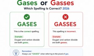 Gases or Gasses Which Is Correct? 2026