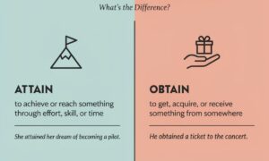Attain vs.Obtain What's the Difference? 2026