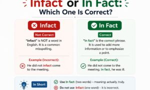 Infact or In Fact: Which One Is Correct?