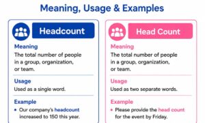 Headcount or Head Count: Meaning, Usage & Examples