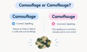 Camouflage or Camoflauge: Correct Spelling & Meaning Guide