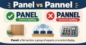 Panel vs Pannel